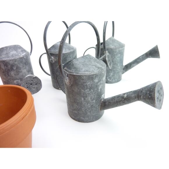 Miniature Terracotta Flower Pots an Watering Can Set Fairycore Succulents Doll - Picture 3 of 5